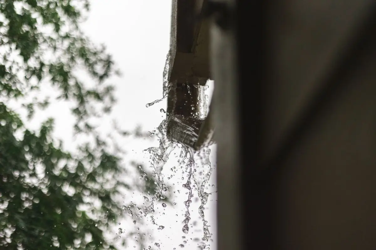 Rainwater pouring from a gutter downspout